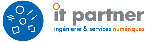 IT Partner